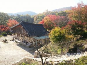 의성 대곡사  구포루, 도문화재 지정 