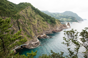 해안 산책로를 따라 울릉도의 뿌리를 밟는다
