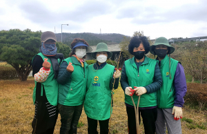 경주시 '침체된 마을에 봄꽃 같은 행복 선사'