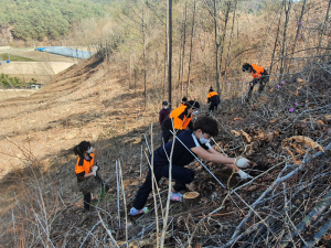 봉화군 한국산림과학고등학교, 조림교육