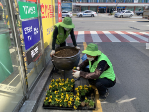 김천시 평화남산동, 봄맞이 꽃 식재