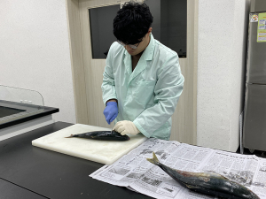 日 방사능 수산물 우려에… 경상북도 