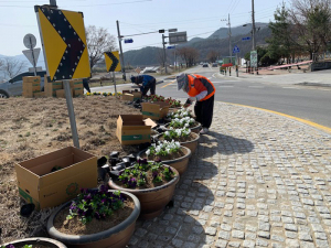 성주군 가천면, 연도변 꽃길 조성