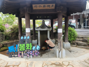 봉화군, 특색 있는 여행토퍼 대여 '관광객 눈길'
