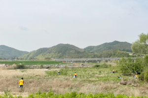 청송군 대한적십자봉사회, 자연정화 활동