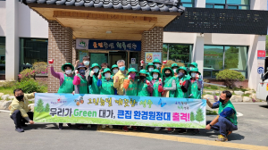 성주군 대가면 새마을회, 환경 정화