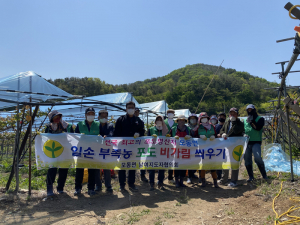 상주시 모동면, 농촌 일손 돕기 '보탬'