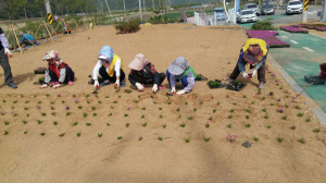 군위군 우보면 '추억 담아가는 꽃동산 조성'