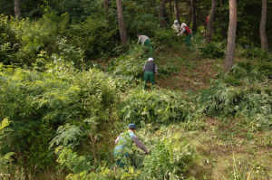 '산소카페 청송군' 명품 산림자원 보호에 앞장