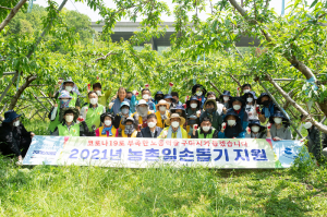구미시, 농촌 일손 돕기로 '농가 인력난 걱정 뚝'