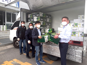 '황제의 과일' 고령 하미과멜론, 라이브커머스 판매 호응
