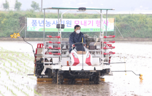 경주시, 드문모심기 농법 보급 '일손 부족 해소'