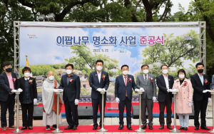 포항시, 흥해 이팝나무 명소화 '문화공간 마련'