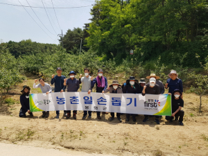 성주군, 지역 참외 수확 농가 일손 돕기 나서
