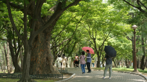 '경주의 숨은 명소'