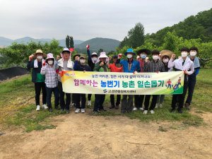 영천시 동부동, 농가 2곳서 마늘수확