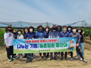 영천시 문화예술과, 농가 돕기 구슬땀