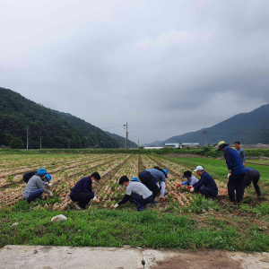 성주군 수륜면, 농촌 일손 돕기 활동