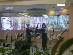 영양군 '민원실  작은 음악회' 열어... 군민·직원들 위해 기획 '큰 호평'