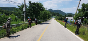 상주시 화동면, 도로변 주변 제초작업
