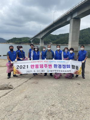 안동시 예안면 주민자치위원회, 환경정화