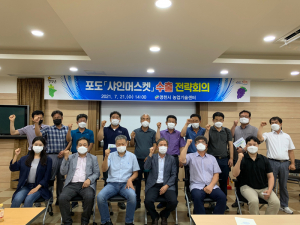 영천시, 샤인머스켓 수출 활성화·경쟁력 제고 '만전'