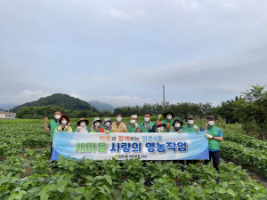 문경시 점촌4동 새마을회, 제초작업