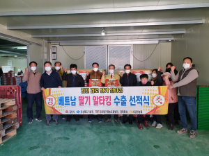 경상북도, 고당도·품질 딸기 '알타킹' 동남아시아 소비자 '입맛 저격'