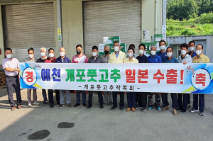 예천군 '개포 풋고추' 우수한 품질·명성, 일본 전역으로 '널리'