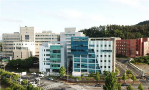 동국대학교 경주병원, 광복절 대체 공휴일 진료 '환자·내원객 불편 최소화'