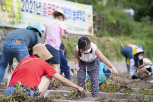 울릉군, 고사리손으로 캐낸 '우리 농업의 소중함'