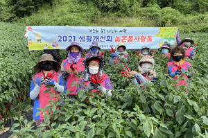 생활개선회영주시연합회, 농촌 일손 돕기 '구슬땀'