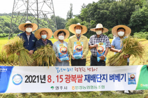 명품 햅쌀 '8·15광복쌀' 추석선물로 딱!