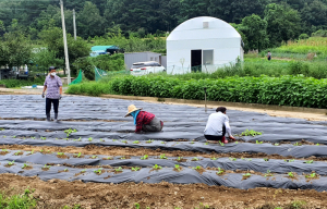 경주시 안강읍 지역사회보장협의체 
