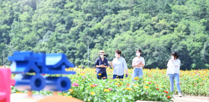오색빛깔 백일홍 활짝 핀 '산소카페 청송정원' 발길 쇄도