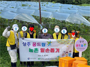 상주시 꿈드림, 포도수확 일손돕기 힘
