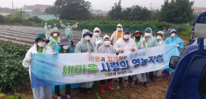 문경시 점촌4동 새마을회, 사랑의 김장 배추심기