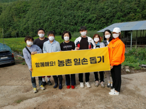 영양군 직원들, 지역 농가서 일손 돕기 '두 팔'