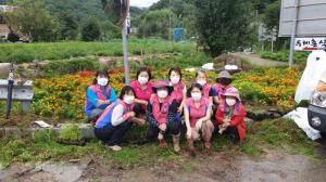 증산면 생활개선회, 꽃내음 가득한 김천 조성