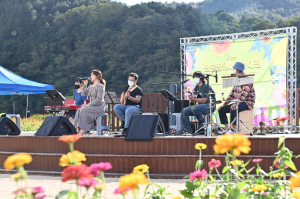 산소카페 청송정원, 화려한 백일홍 물결 넘실… 지역 랜드마크로 '급부상'