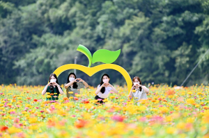 청송군 