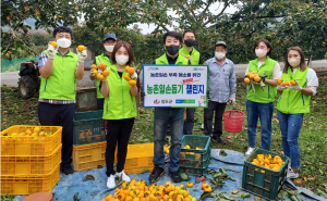 농협 청도군지부, 농가 일손 부족 문제 해소 '앞장'