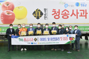 '청송 황금사과' 고당도·아삭한 육질로 젊은층 입맛 저격