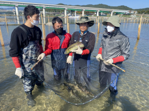 슈퍼푸드 연어가 3년 만에 고향으로 돌아왔다
