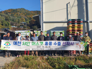 예천 샤인머스켓, 홍콩 첫 수출길… 현지 입맛 사로잡는다