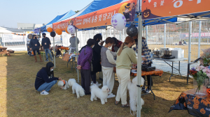 의성군, 2021 펫로윈 파티 '성료'