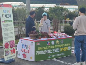 영양고추, 대형 백화점 잇따라 입점… 브랜드 가치 드높여