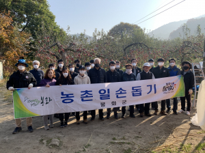 봉화군 물야면, 농가 인력난 해소 '두 팔 걷어'