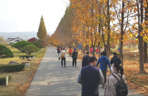 동리목월기념사업회, 타박타박 걸으며 내면을 돌아보는 '가을, 인문학 산책'