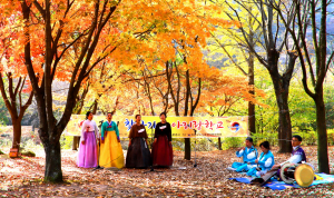다시 전국에 울려 퍼지는 구성진 우리 소리 '문경새재아리랑'